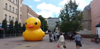 Akademia Duckie Deck w Łodzi: Kodowanie robotów i animacja poklatkowa dla najmłodszych