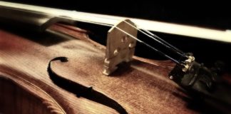 Skrzypek Dave Garrett wystąpi w grudniu w Atlas Arenie