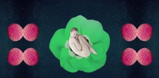 Koncert Łąki Łan w Łodzi już w sobotę w Wytwórni