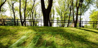 Rozpoczął się nabór do Przecieków Sztuki. Potrwa do 16 czerwca tego roku.