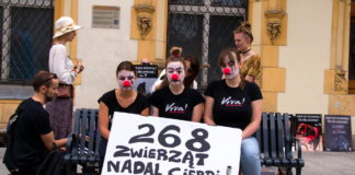 Protest smutnych clownów w Ogólnopolski Dzień Cyrku Bez Zwierząt