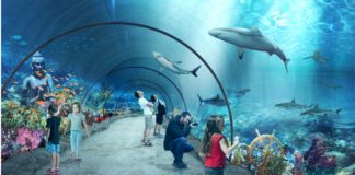 Orientarium w Łodzi z pozwoleniem na budowę Orientarium w Łodzi