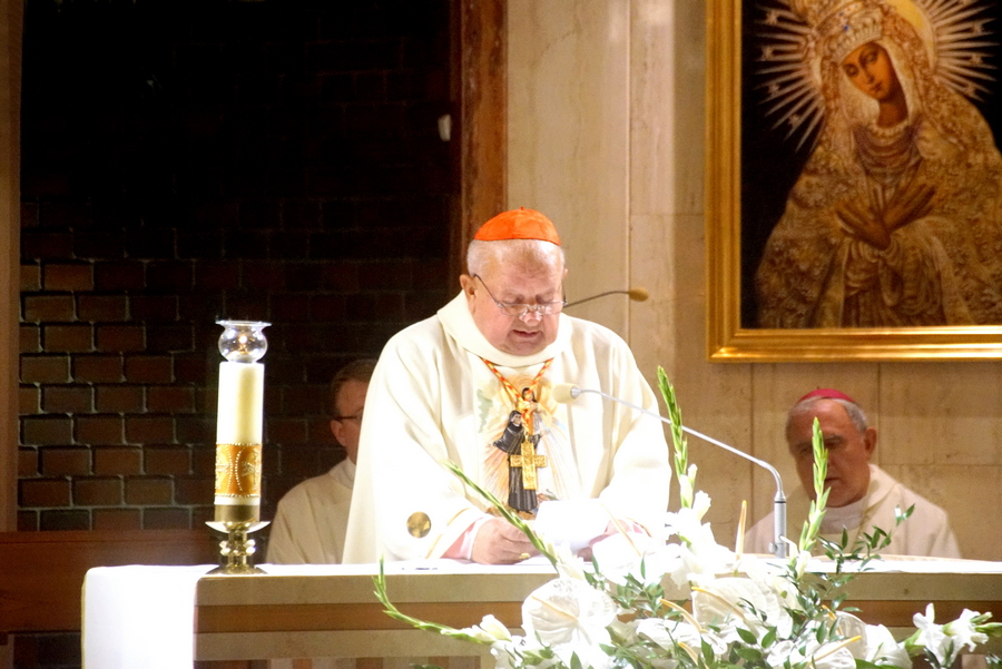 Kardynał Stanisław Dziwisz