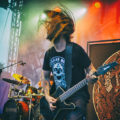 Rock & Rose Fest Kutno 2018