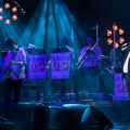 Koncert Niemen Inaczej w Łodzi