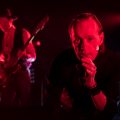 Koncert Mazolewski Porter w Wytwórni